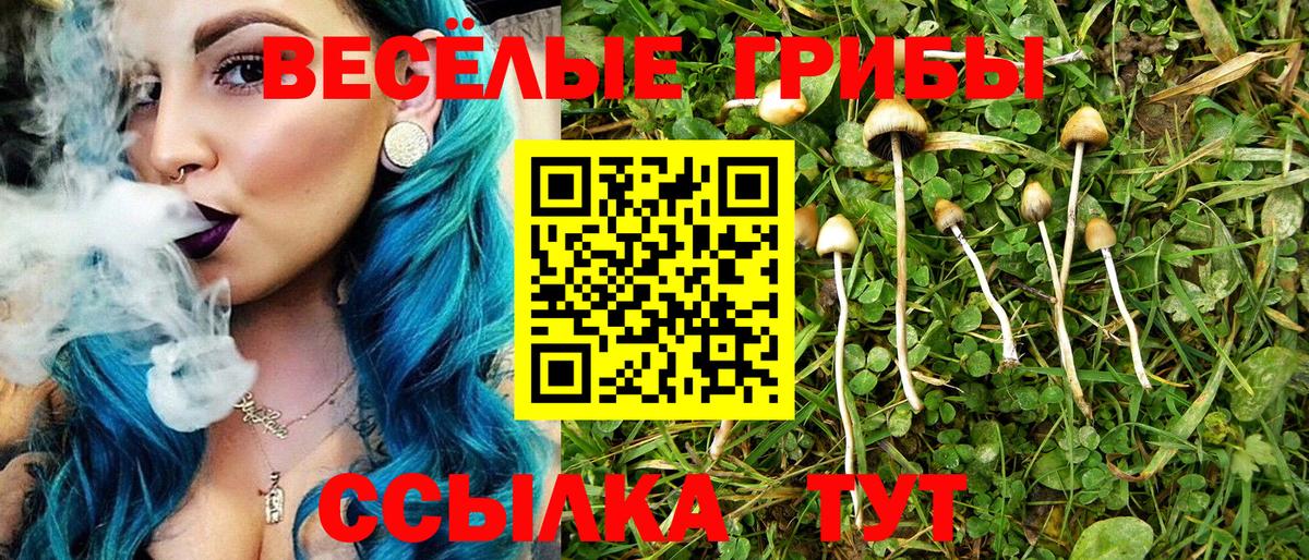 Псилоцибиновые грибы Magic Shrooms Магадан